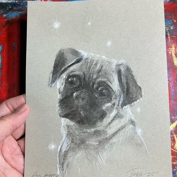 Pug puppy dog original painting charcoal pastel art new artwork black Artettina - Picture 7 of 9